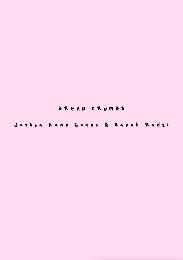 Joshua Kane Gomes & Sarah Radzi – Bread Crumbs