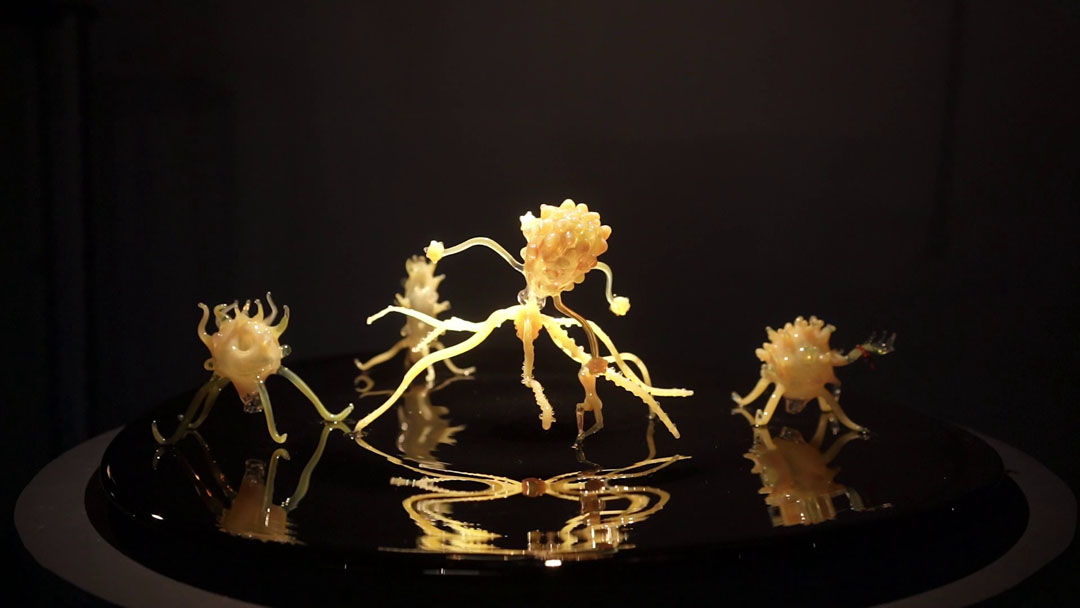 The Rise of Medusa (Performance)