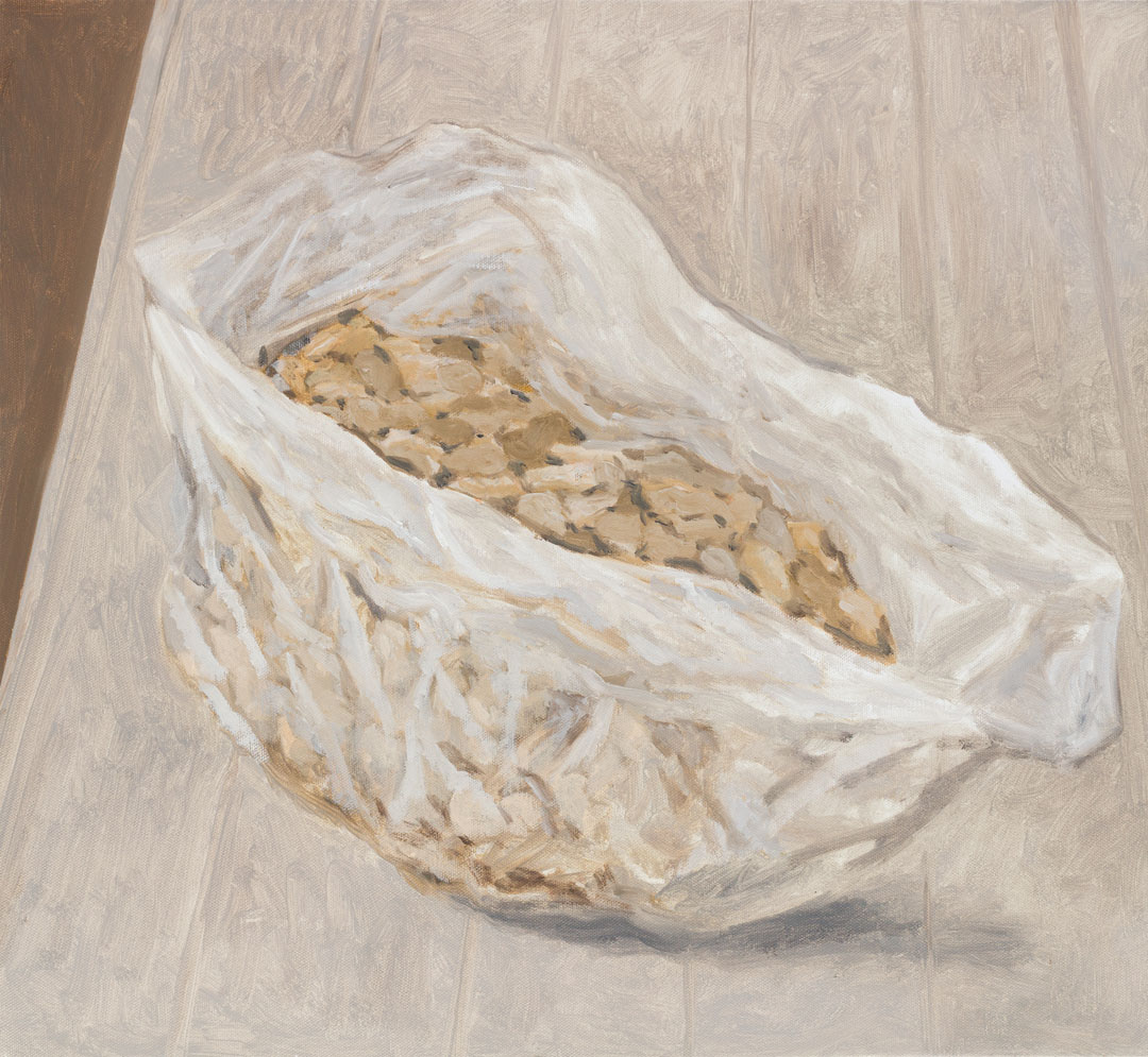 Gesture of plastic bag No.1