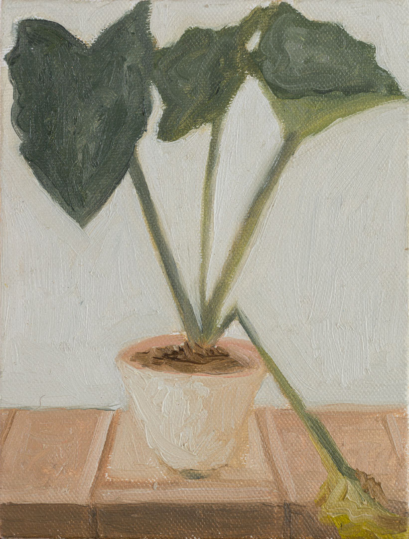 Worth and Meaning No.4