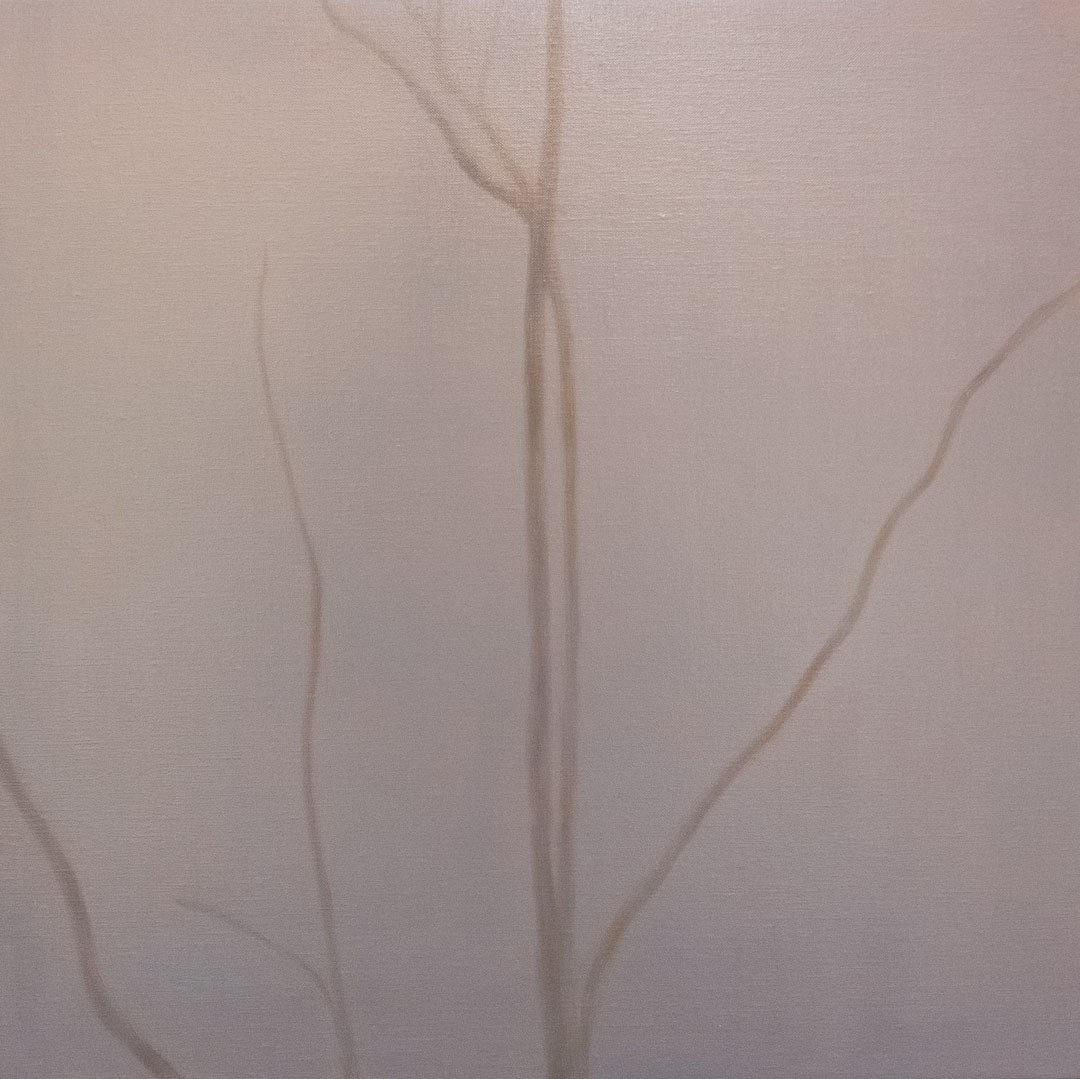 Between the Mountains