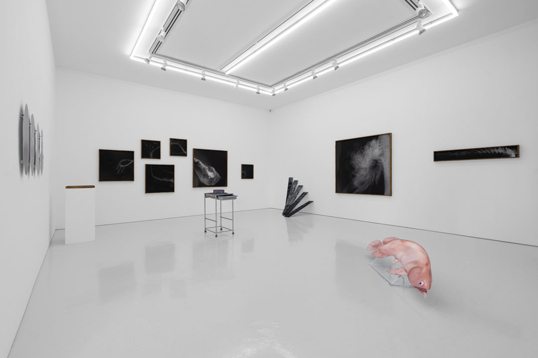 Siew Guang Hong – the body improper