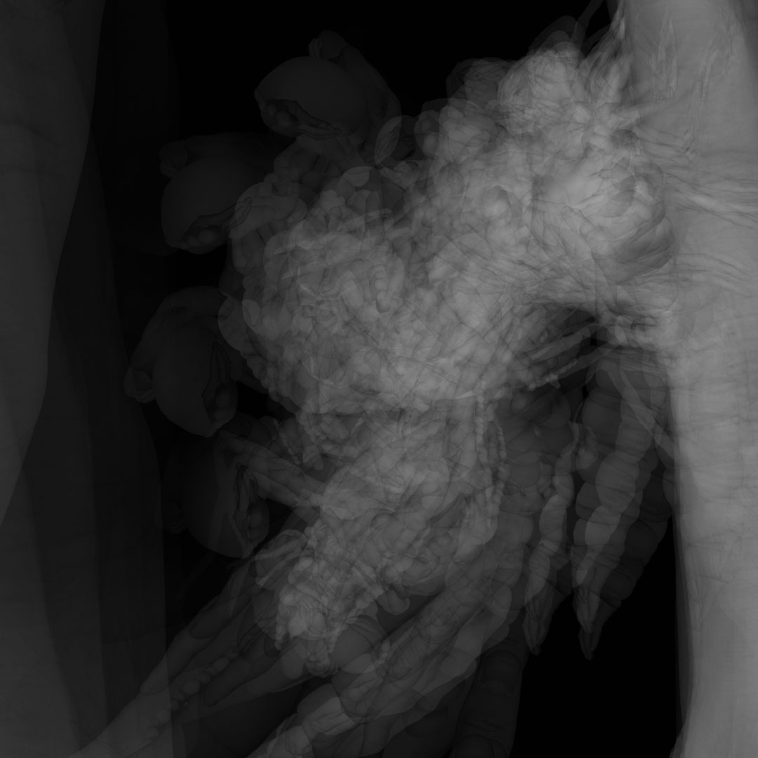 begin again the morning mist