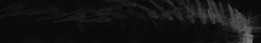 fluttershy elusive imago