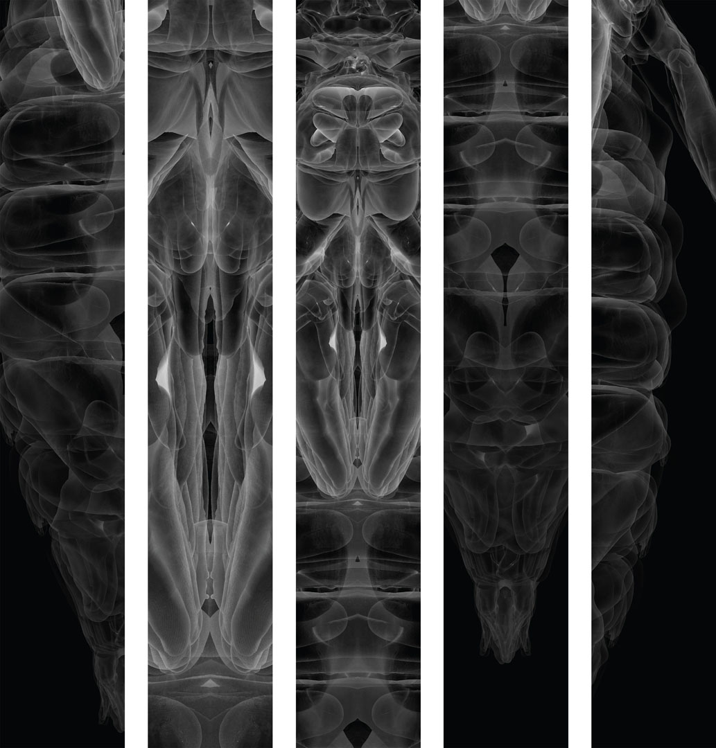 many in stars ago again