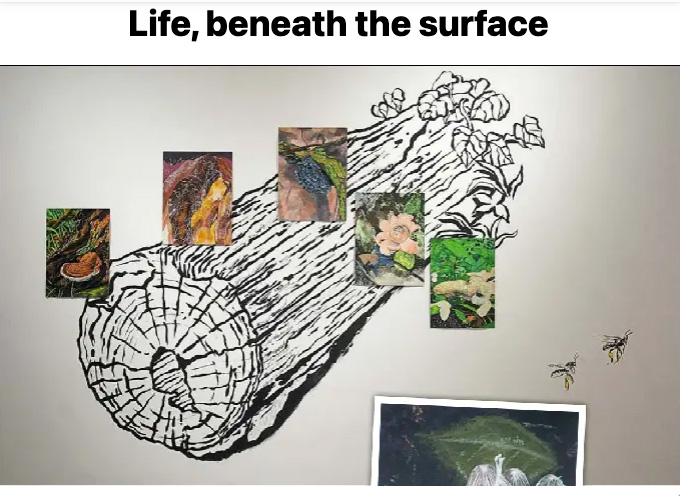 The Star 2 Lifestyle – Life, beneath the surface